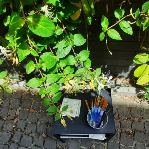 Fotografie Ceramic Cafe - 5