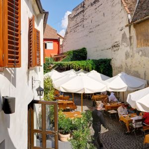 Fotografie Max - The Original. - 1