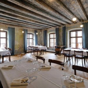 Fotografie Max - The Original. - 6