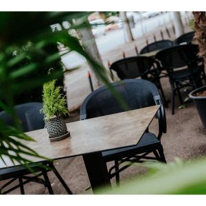 Fotografie BRYO Appetite - 8