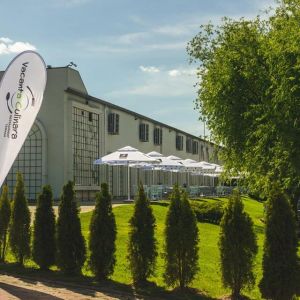 Fotografie Vacanta Culinara - 0