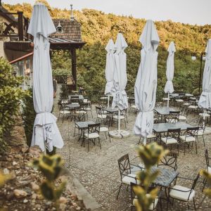 Fotografie Roca Brună - 0