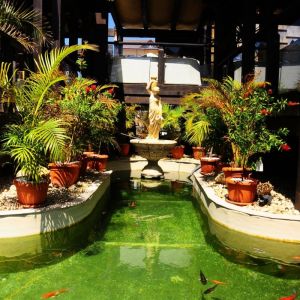 Fotografie Aqua Garden Militari Residence - 0