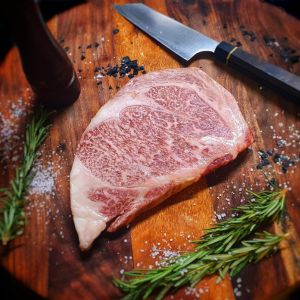 Fotografie Le Premier - 6