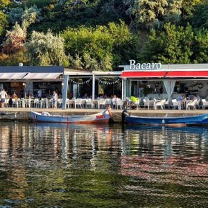 Fotografie Bacaro Port - 0