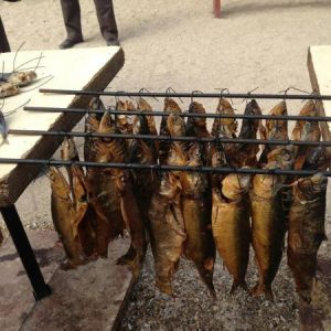 Fotografie Cherhana Vama Veche - 3