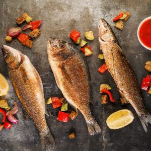 Fotografie Papa la Soni Vama Veche - 1