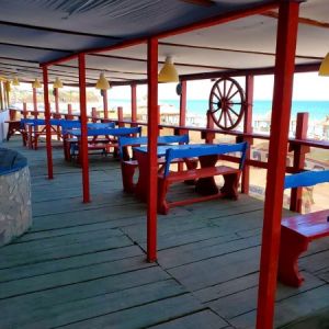 Fotografie Papa la Soni Vama Veche - 0