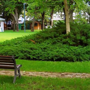 Fotografie Pine Garden Cafe - 2