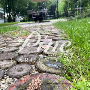 Fotografie Pine Garden Cafe - 4