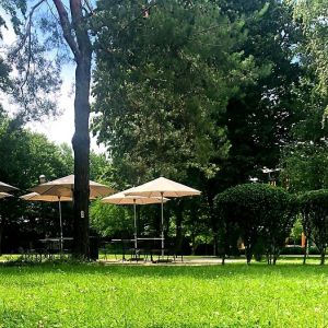 Fotografie Pine Garden Cafe - 6