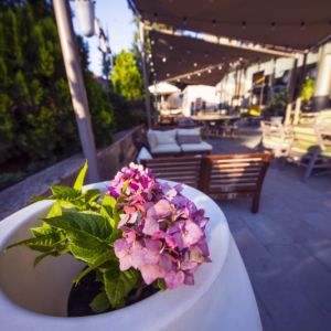 Fotografie Terasa Urbana - 6