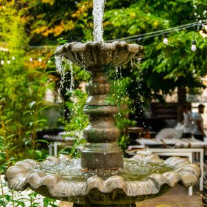 Fotografie Grădina Urbană - 3