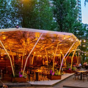 Fotografie Grădina Urbană - 7