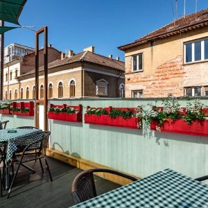 Fotografie Cuib pentru Pofte si Nazuri - 0