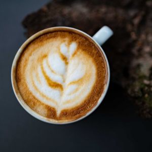 Fotografie Mamma Mia - 1