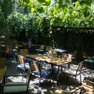 Fotografie Lente Arcului - 1