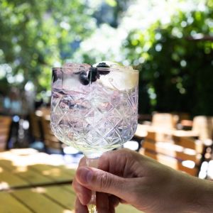 Fotografie Lente Arcului - 3