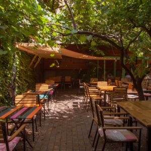 Fotografie Lente Arcului - 6