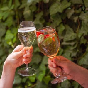 Fotografie Lente Arcului - 7