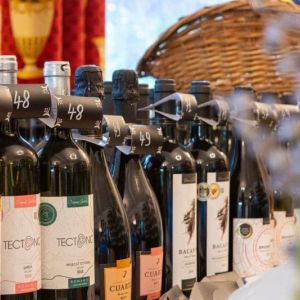 Fotografie Travagant - 2