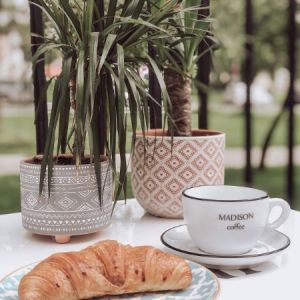 Fotografie August No.2 - 3