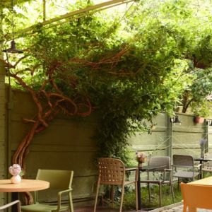 Fotografie Happy Corner - 3