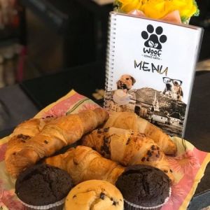 Fotografie WOOF Street CAFFE - 2