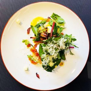 Fotografie JUNO Wine Garden - 0