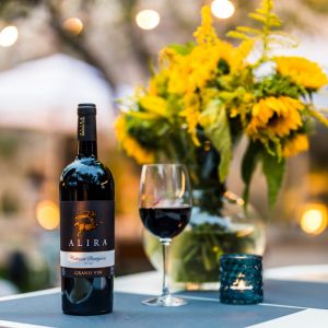 Fotografie JUNO Wine Garden - 4