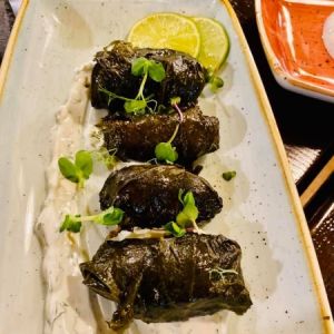 Fotografie DRAKO kUHNIA bALKANICA - 3