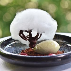 Fotografie Restaurant ATRA - 4