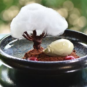 Fotografie Restaurant ATRA - 12