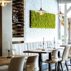 Fotografie Diferit Bistro - 0