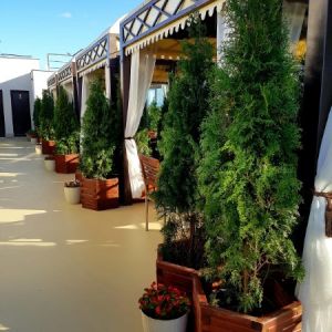 Fotografie President Restaurant - 4