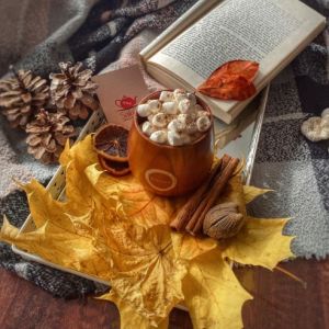 Fotografie Sakura - Cafenea & Ceainarie - 4