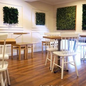 Fotografie Clatitaria Clatos - 1