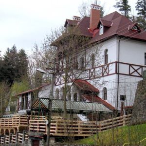 Fotografie Restaurant Alex Sinaia - 0