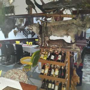 Fotografie Popas Alpin - 3