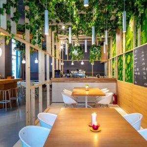 Fotografie Joule Vert - 0