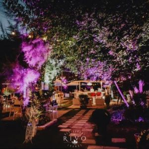 Fotografie Rivo Restaurant - 0