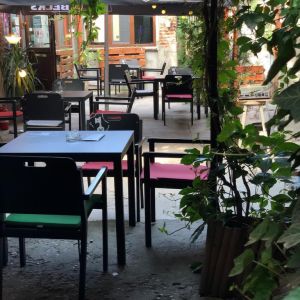 Fotografie Gekko Pub - 2