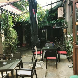 Fotografie Gekko Pub - 4