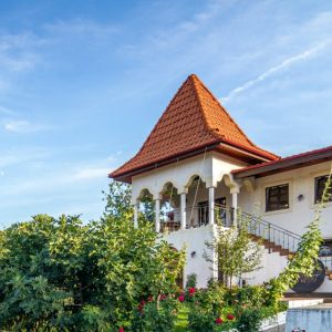 Fotografie Crama Rotenberg - 0