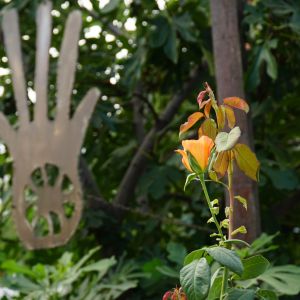 Fotografie Crama Rotenberg - 3