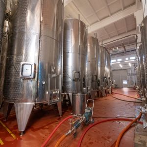 Fotografie Crama Oprișor - 2