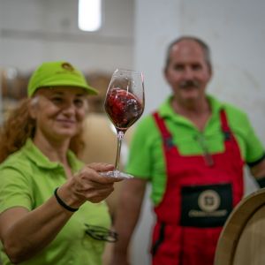 Fotografie Crama Oprișor - 5