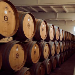 Fotografie Crama Oprișor - 3