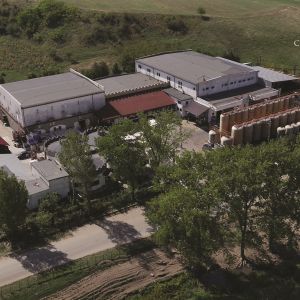 Fotografie Crama Oprișor - 6