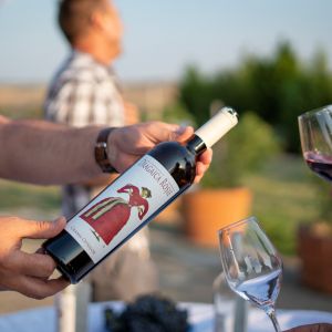 Fotografie Crama Oprișor - 0